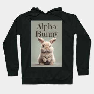 Alpha Bunny Hoodie